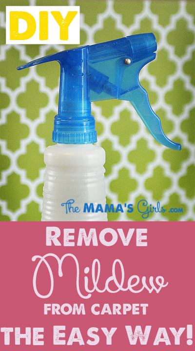 DIY Cleaner for getting mildew out of your carpet