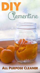 DIY Clementine all natural cleaner