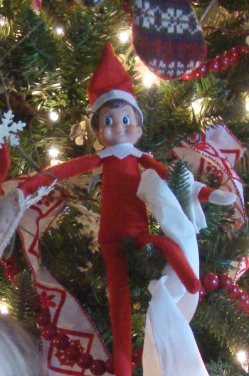 elf on a shelf hanging toilet paper on tree