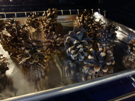 bake pinecones
