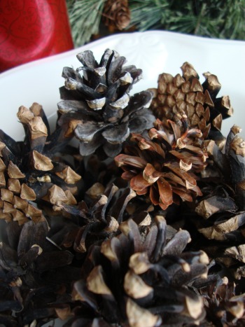 scented pinecones in a bowl