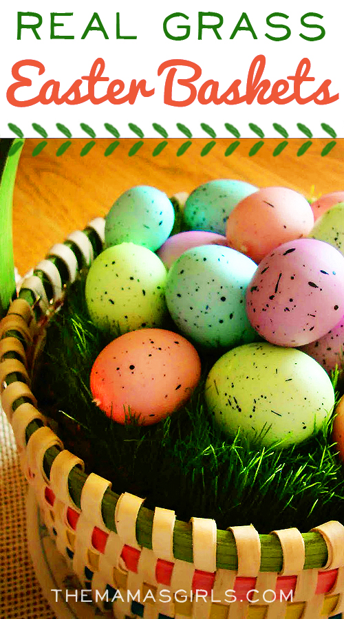Real Grass Easter Baskets