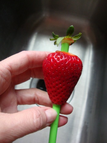 hull a strawberry