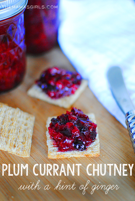 Plum Currant Chutney with a Hint of Ginger