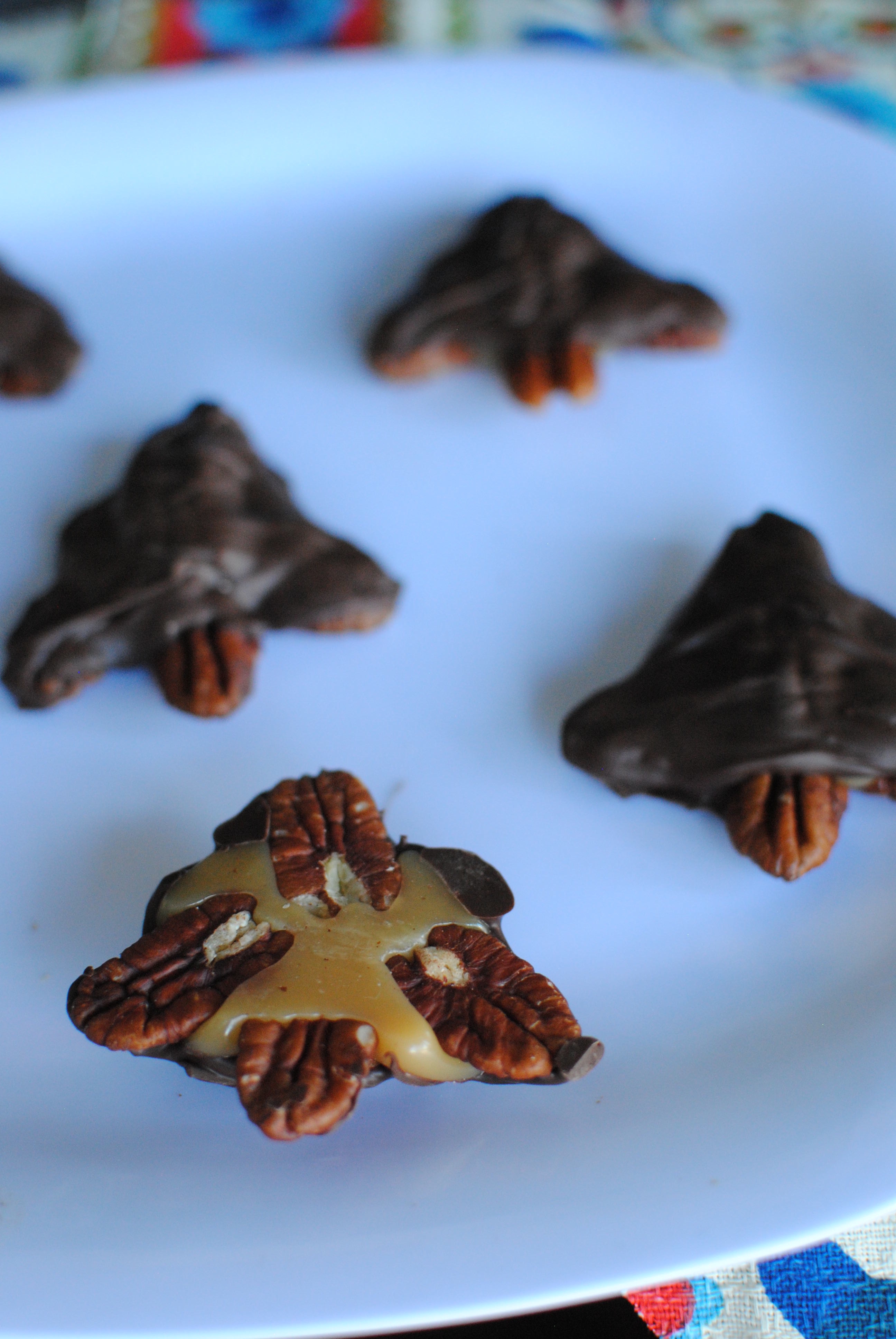 Christmas Tree Turtle Candy5