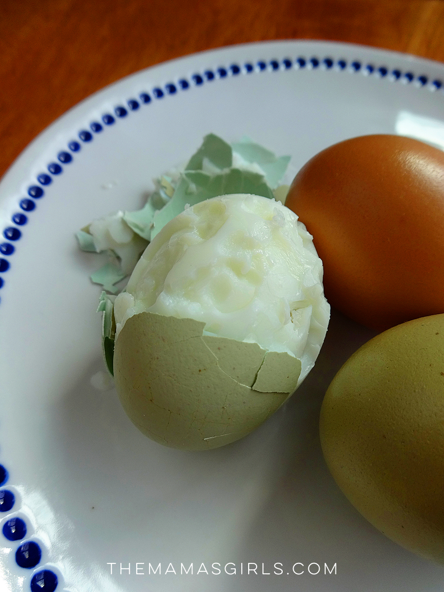 hard boiled egg tip