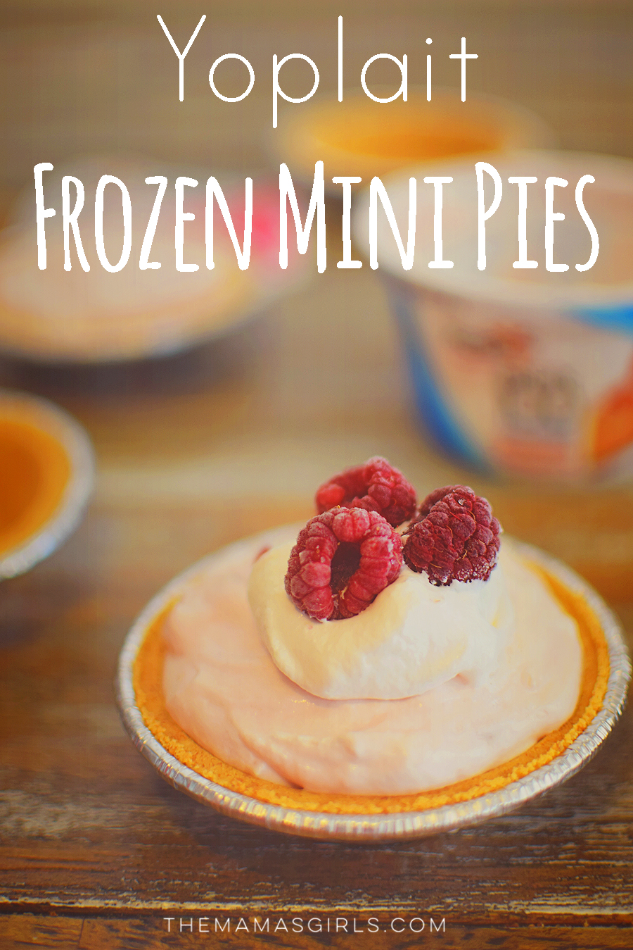Yoplait Frozen Mini Pies