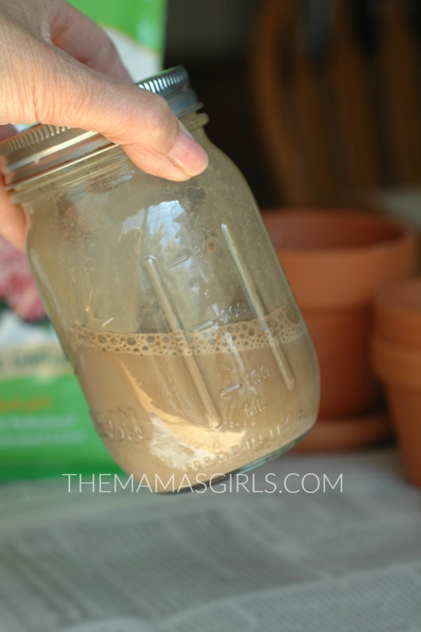Garden Lime for Aging Terra Cotta Pots - themamasgirls.com - Copy
