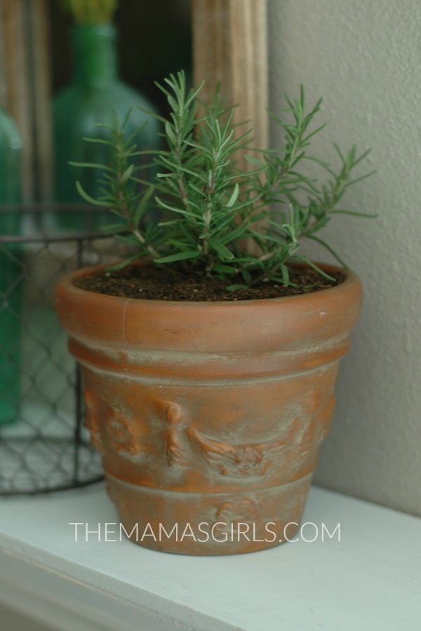 How to Age a Terra Cotta Pot - themamasgirls.com