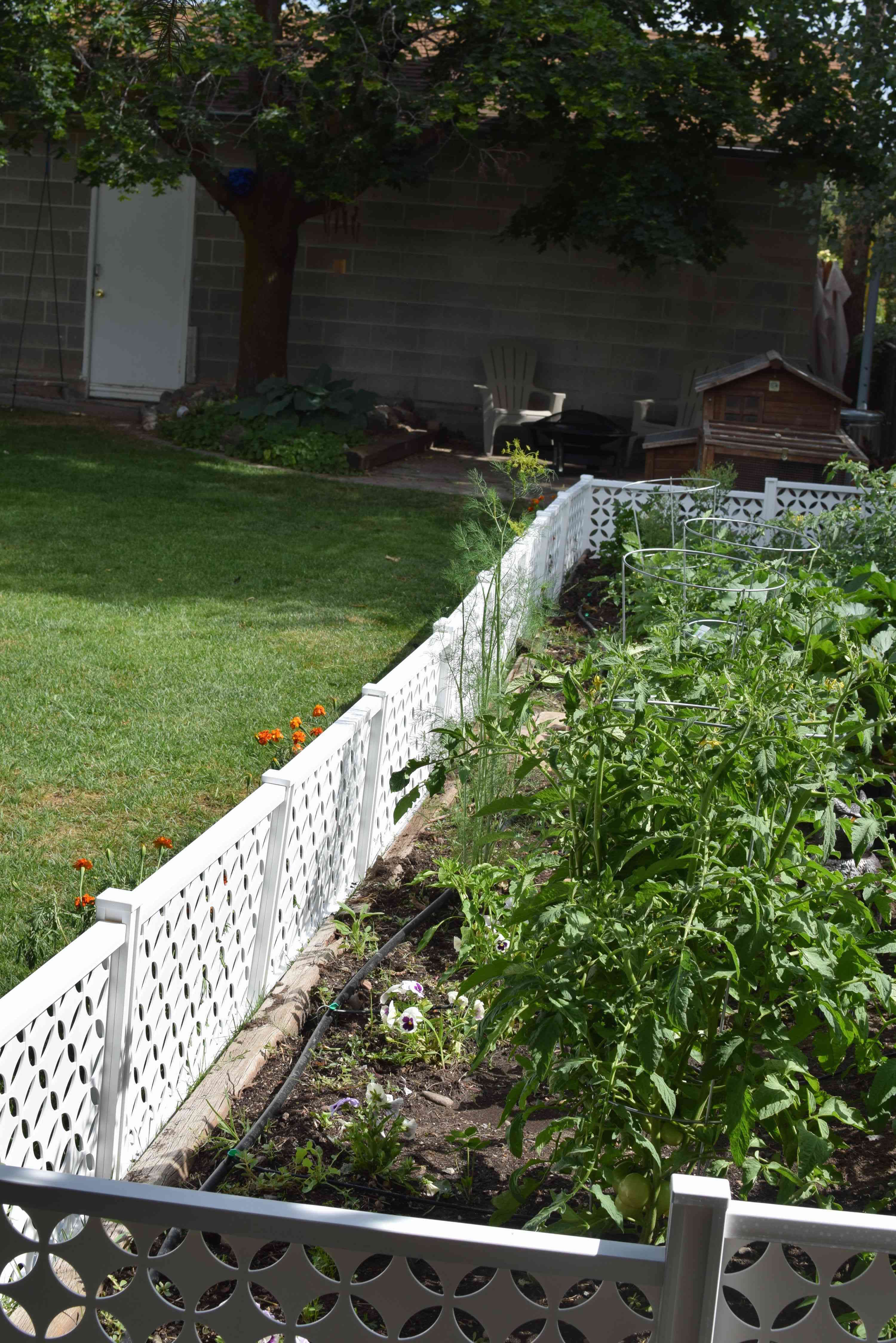 how to enclose a garden to protect from critters