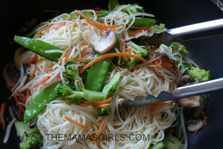 Chow Mein Noodles - themamasgirls.com