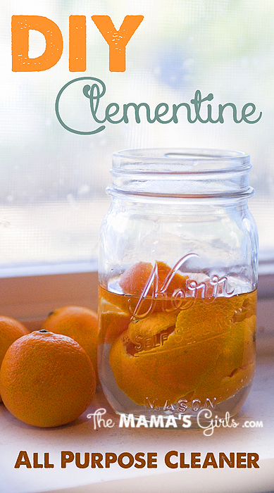 DIY Clementine all natural cleaner.