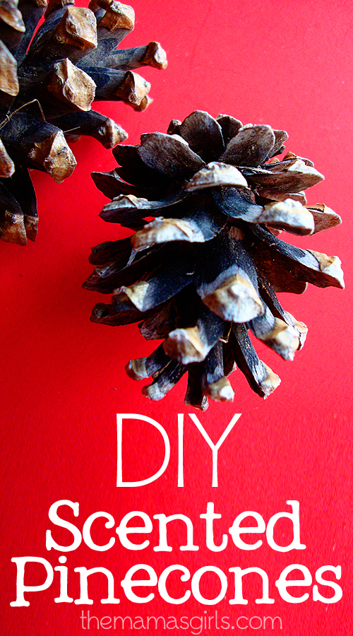 DIY Scented Pinecones