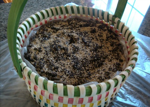 easter basket with grass seeds