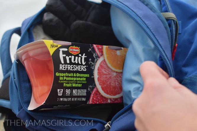 Fruit Refreshers Iin Backpack - themamasgirls.com